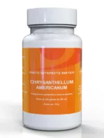 chrysanthellum-americanum copy