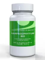 harpagophytum copy